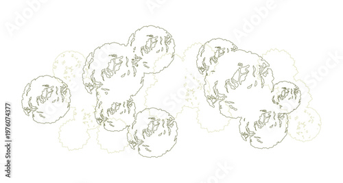 Trees for urban planning and architectural plans. Outline vector for landscape design and exterior entourage.