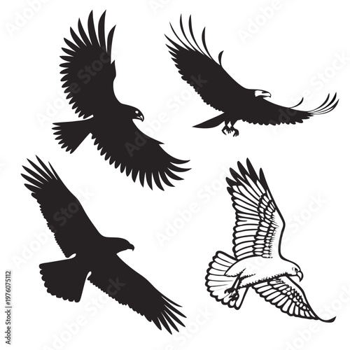 A set of four flying eagle silhouettes in black and white on a transparent background