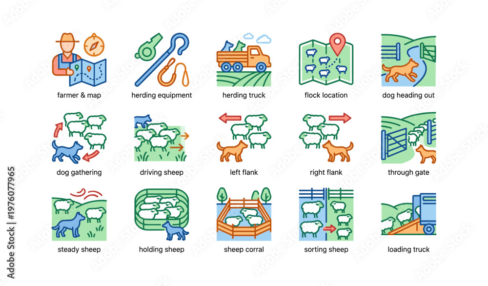 Naklejka premium Sheep herding process icons with equipment, trucks, dogs, and corral graphics