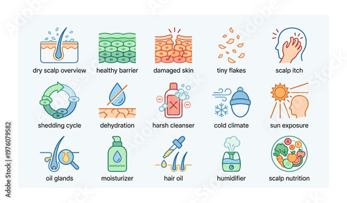 Dry scalp factors and solutions - dehydration, flakes, sun exposure, climate effects, moisturizer