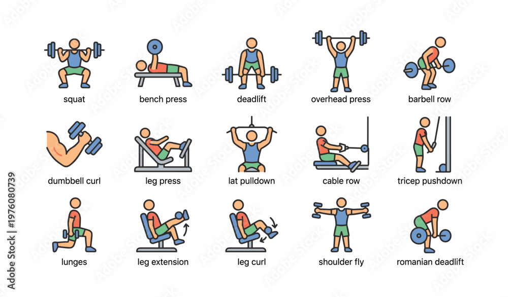 Fototapeta premium Illustrated guide to classic weightlifting exercises with equipment