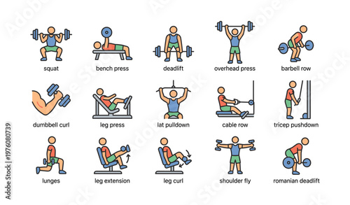 Illustrated guide to classic weightlifting exercises with equipment