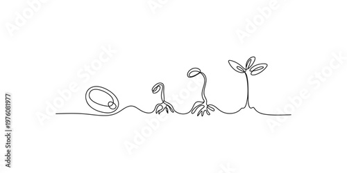 Continuous line drawing of seed germination and growth stages plant sprout seedling art minimalist illustration