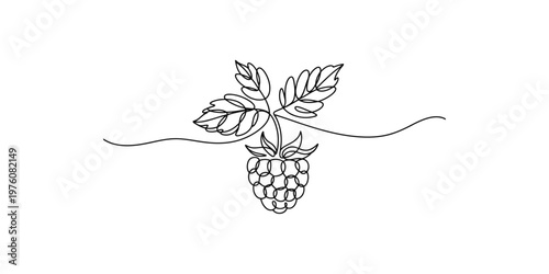 A blackberry with leaves on a vine in a simple line drawing style berry fruit