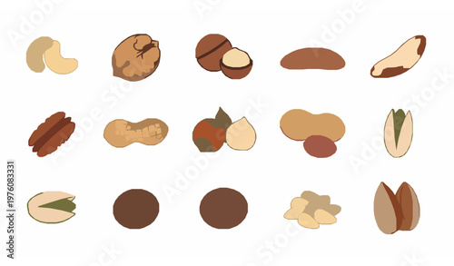 Mixed nuts collection vector set with almond cashew walnut and pistachio isolated on white background
