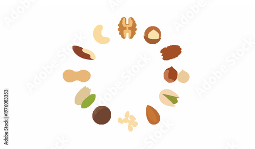 Nuts infographic vector with circular layout showing almond walnut cashew and healthy food variety