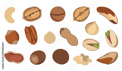 Hand drawn assorted nuts vector illustration with natural organic food elements isolated on white