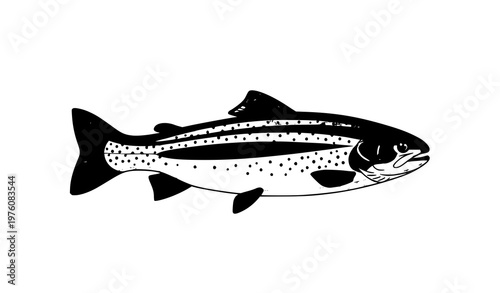 Rainbow trout fish vector illustration side view with natural colors isolated on white background
