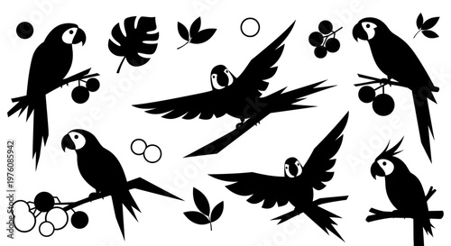 Black silhouettes of tropical parrots, including macaws and cockatoos, with jungle leaves and berries, isolated on a white background, in various poses.