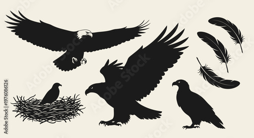 Collection of black silhouettes depicting various eagles in flight and standing, along with a chick in a nest and individual feathers.