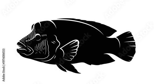 Black and white silhouette illustration of a fish with detailed scales and fins, depicted in a side profile view.