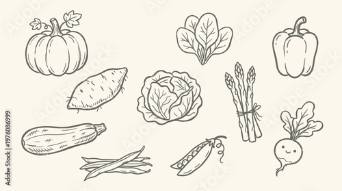A charming hand-drawn illustration featuring a variety of fresh vegetables, including a pumpkin, sweet potato, zucchini, green beans, cabbage, spinach, asparagus, bell pepper, and a radish.