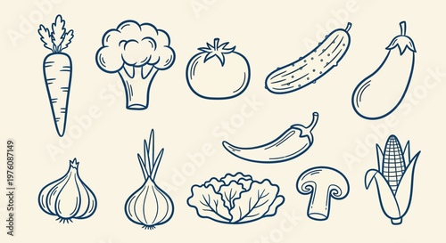 A charming hand-drawn illustration featuring a variety of fresh vegetables arranged in two rows against a light background.
