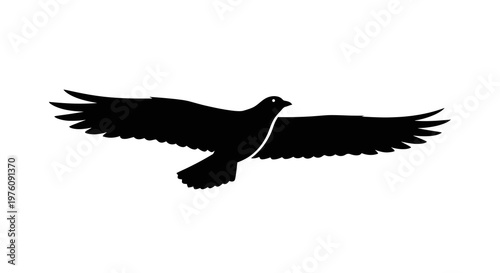 Silhouette of a bird of prey with outstretched wings flying against a white background.