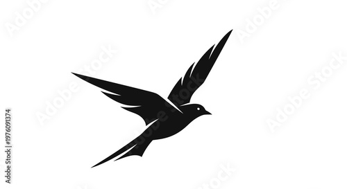 Silhouette of a swift bird in flight, wings spread, isolated on a white background.