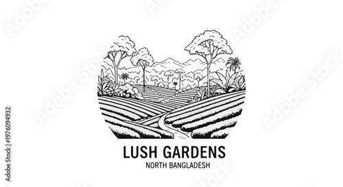 Lush garden terraces ascend toward misty mountains under lush tropical foliage