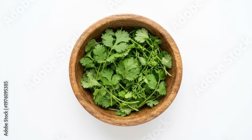 A wooden bowl filled with fresh cilantro leaves sits on a white surface. The vibrant green leaves create a visually appealing composition.