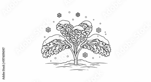 Line art illustration of a kale plant covered in snow
