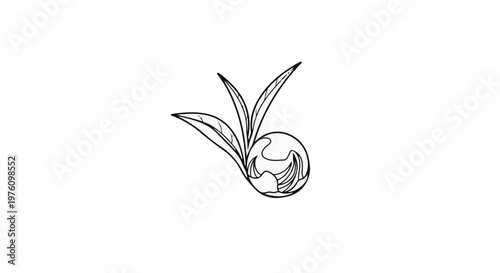 Minimalist line art of an unopened bud and leaves