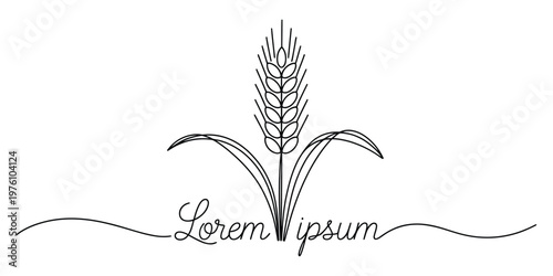 Minimalist Wheat Ear Line Art Logo