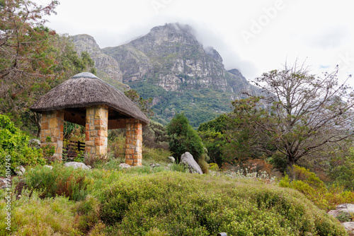 Landscape in Cape Town botanical garden