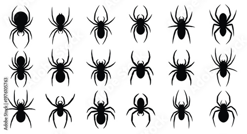 Collection of black spiders on a white background various poses shown