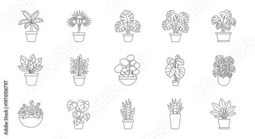 Collection of monstera and other potted plant line art illustrations