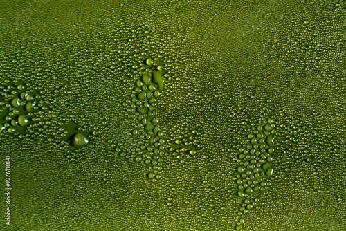 Green surface covered with water droplets forming irregular shapes and patterns. Macro photography of condensation texture background. Abstract moisture and liquid pattern concept.