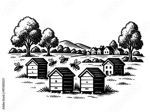Hand drawn beehives in countryside landscape. Vintage apiary with wooden hives, trees and village in background. Vector black ink outline illustration in engraving style, honey production