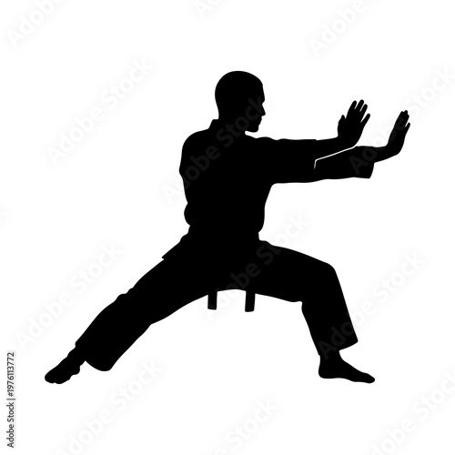 Fotografía Silhouette of a martial artist in a karate or kung fu stance