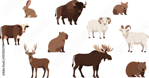 Wildlife Animal Collection with Rabbit, Moose, Bear, Bison, and More for Nature, Wildlife, and Animal Illustrations