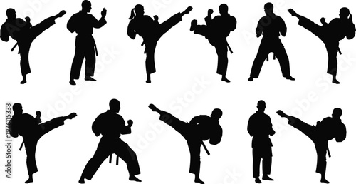 Set of martial arts silhouettes performing high kicks, combat stances and fighting poses isolated on white background for sport design