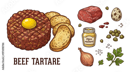 Beef Tartare Vector Illustration with Ingredients: Raw Meat, Egg Yolk, Toast, Capers, Onion, and Mustard