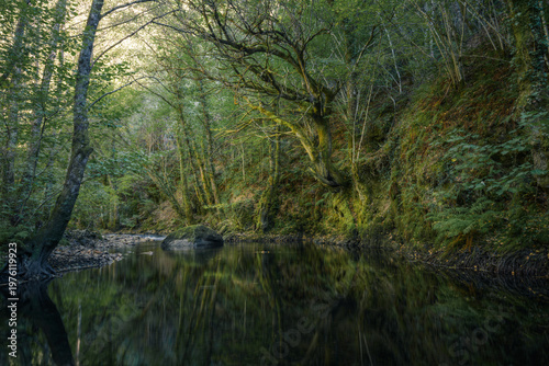 A scene with mystical undertones in a forest frozen in time