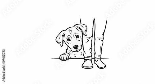 Shy puppy peeking from behind human legs