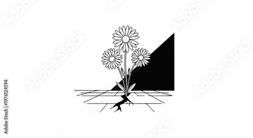 Daisy flowers sprout from cracked ground under a dark diagonal shadow