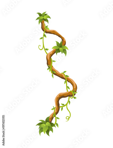 Liana branch. Twisted wild jungle vine plants. Woody natural tropical rainforest, exotic botany element. Vector design element
