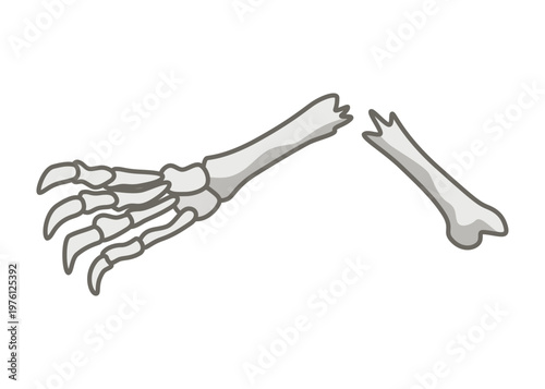 Dinosaurs skeletons parts underground. Fossils, bones of prehistoric reptiles and ammonites