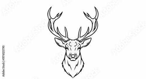 Majestic stag head with imposing antlers, drawn in a bold outline style