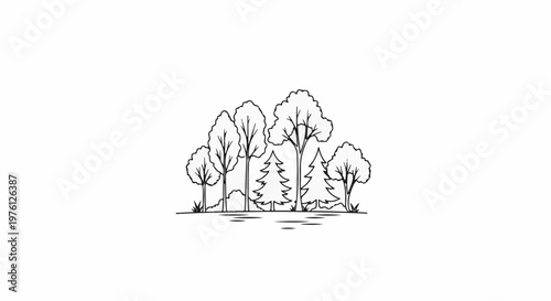 Black and white line drawing of a diverse forest with trees and foliage