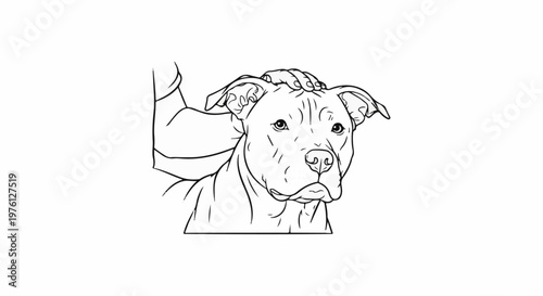 A hand gently pets a dog's head, showcasing affection and care