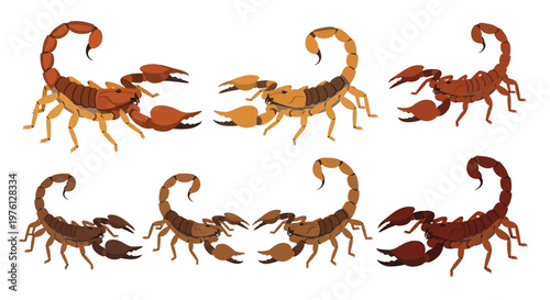 Illustrations of various scorpions in different poses and colorations
