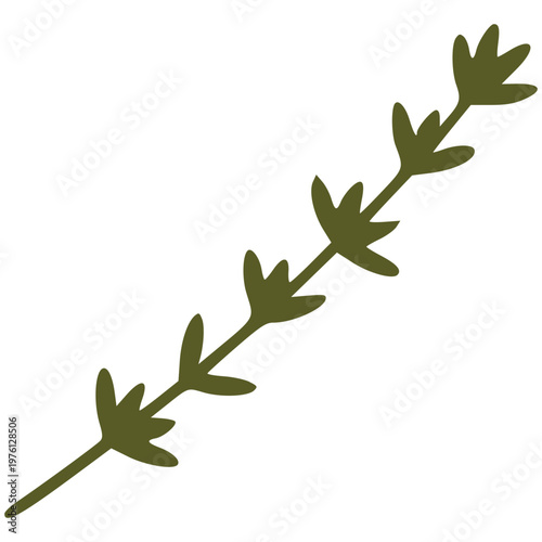 Green thyme branch icon perfect for representing garden herbs and savory culinary seasoning elements