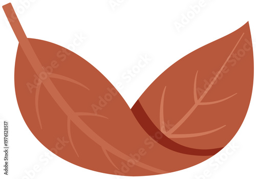 Dried bay leaves icon used as essential seasoning for soups, stews, and aromatic cooking