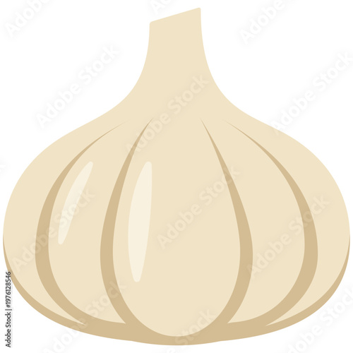 Organic fresh garlic bulb icon for culinary seasoning and healthy cooking ingredient designs