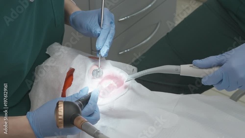 Professional dentist performing deep teeth cleaning with air flow sandblast technology while assistant using saliva ejector tool. Teamwork during oral hygiene prophylaxis procedure in clinic