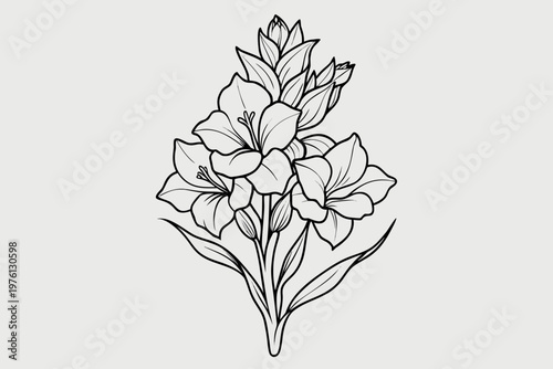 coloring page  line art the gladiolus flower black vector