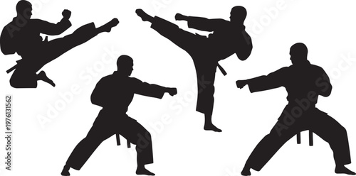 Martial Arts Karate Fighter Silhouette Poses Set Vector Illustration Icons