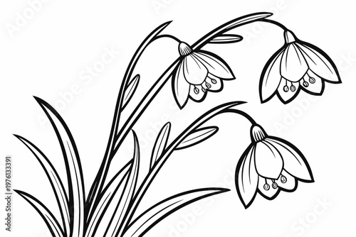 coloring page line art the heather flower black vector