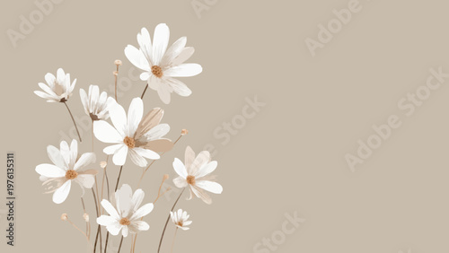 Minimalist White Aster Flowers Illustration on Neutral Background